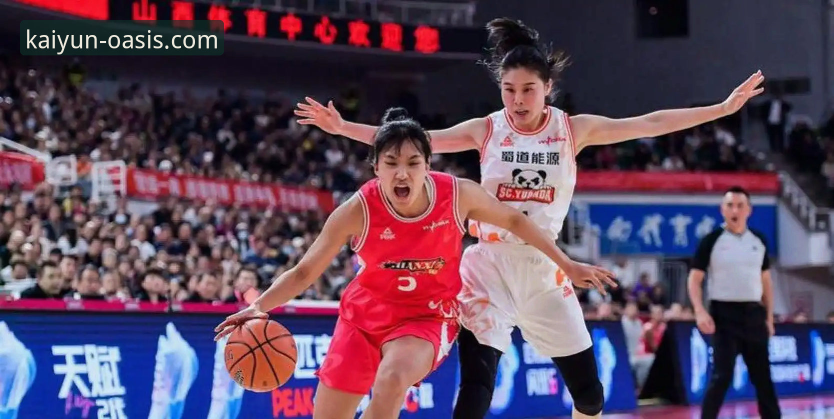 四川女篮创纪录大胜山西，WCBA总决赛G1背后有哪些看点？